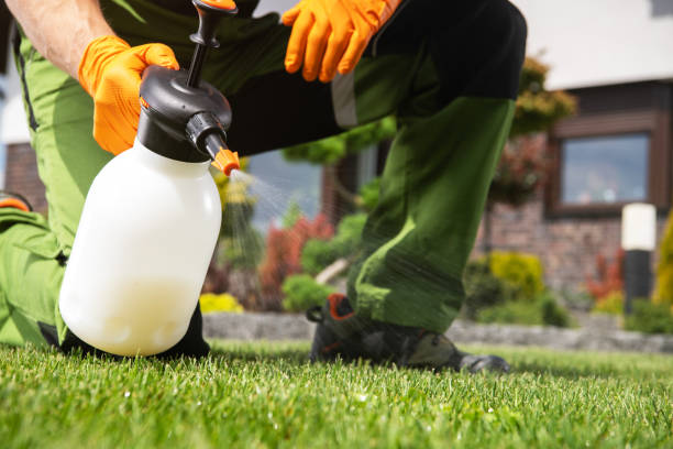 Best Best Pest Control Near Me  in Pixley, CA